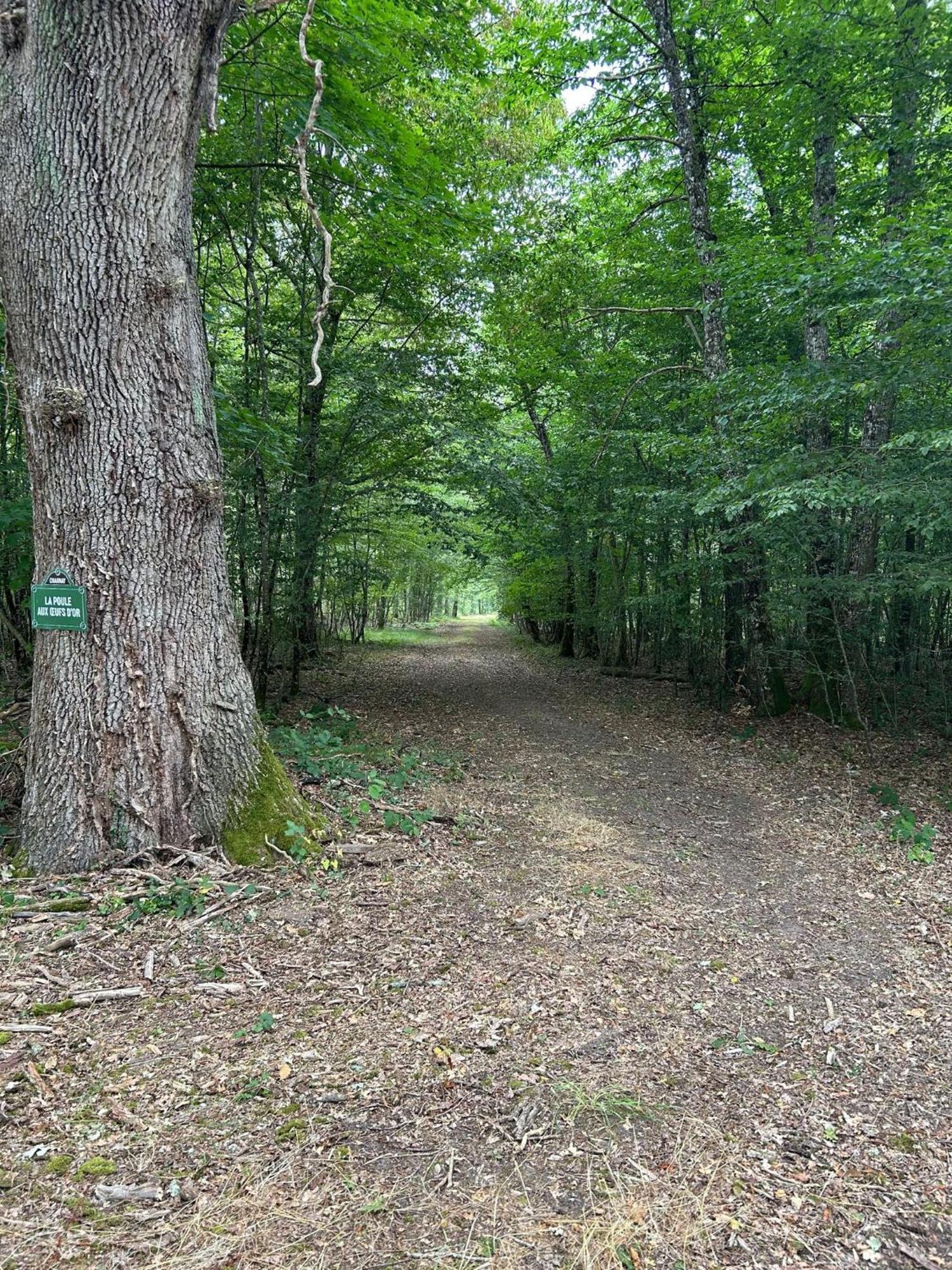 Les Chambres De Charnay - Calme Charme Et Confort A 5 Mn Du Peage Vierzon Eksteriør bilde
