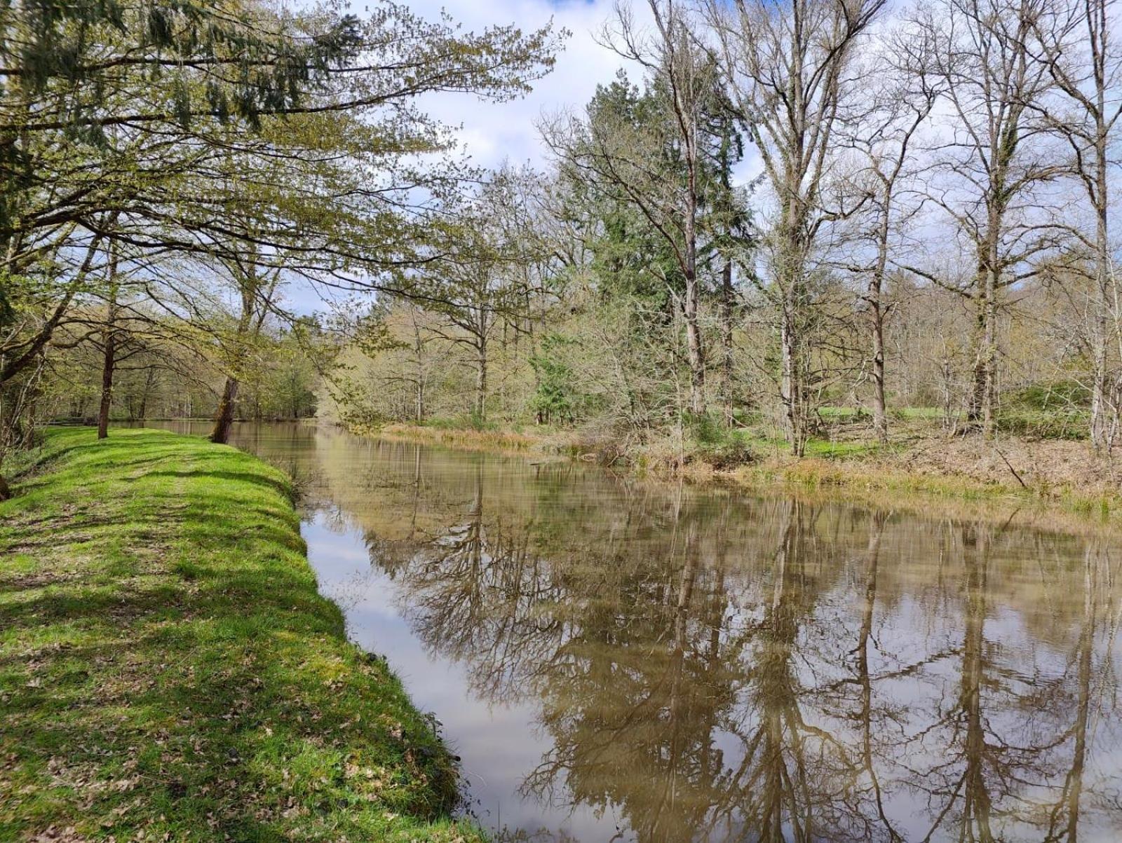Domaine De Charnay - Charme Et Confort Dans Un Environnement D'Exception Vierzon Eksteriør bilde