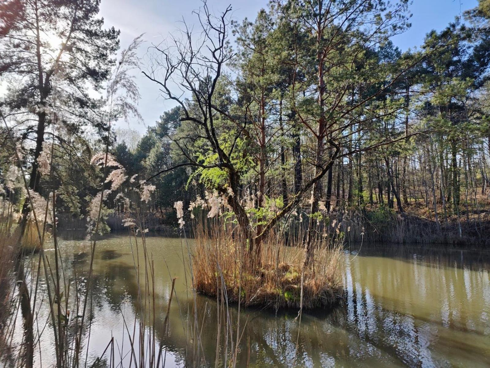 Domaine De Charnay - Charme Et Confort Dans Un Environnement D'Exception Vierzon Eksteriør bilde