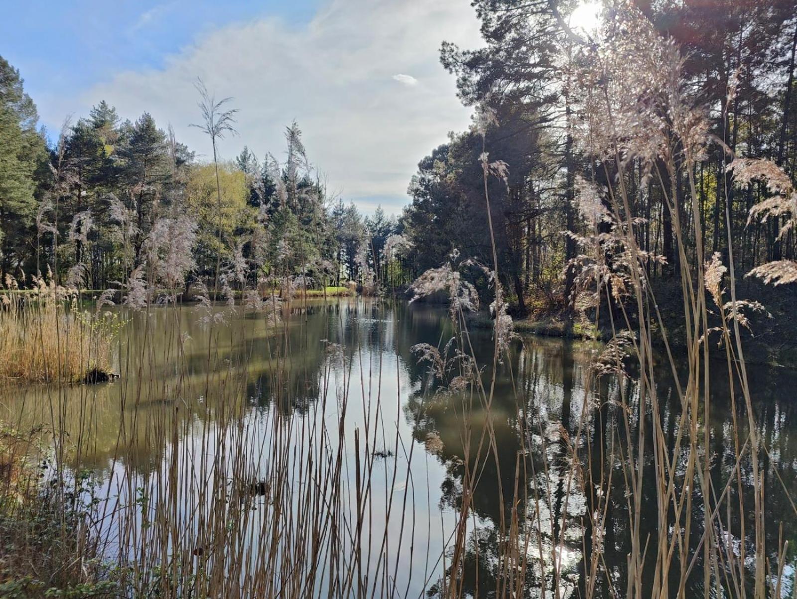 Domaine De Charnay - Charme Et Confort Dans Un Environnement D'Exception Vierzon Eksteriør bilde