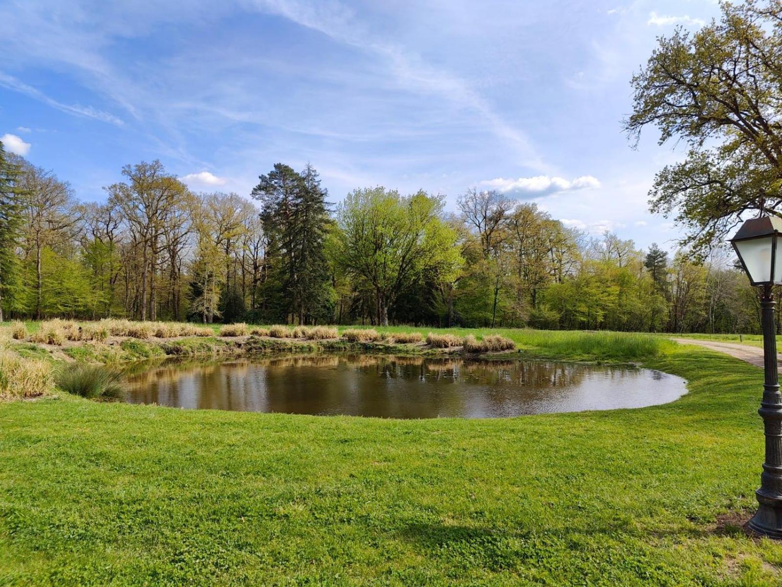 Domaine De Charnay - Charme Et Confort Dans Un Environnement D'Exception Vierzon Eksteriør bilde